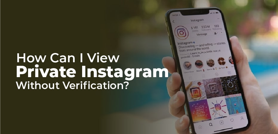 view private instagram without human verification