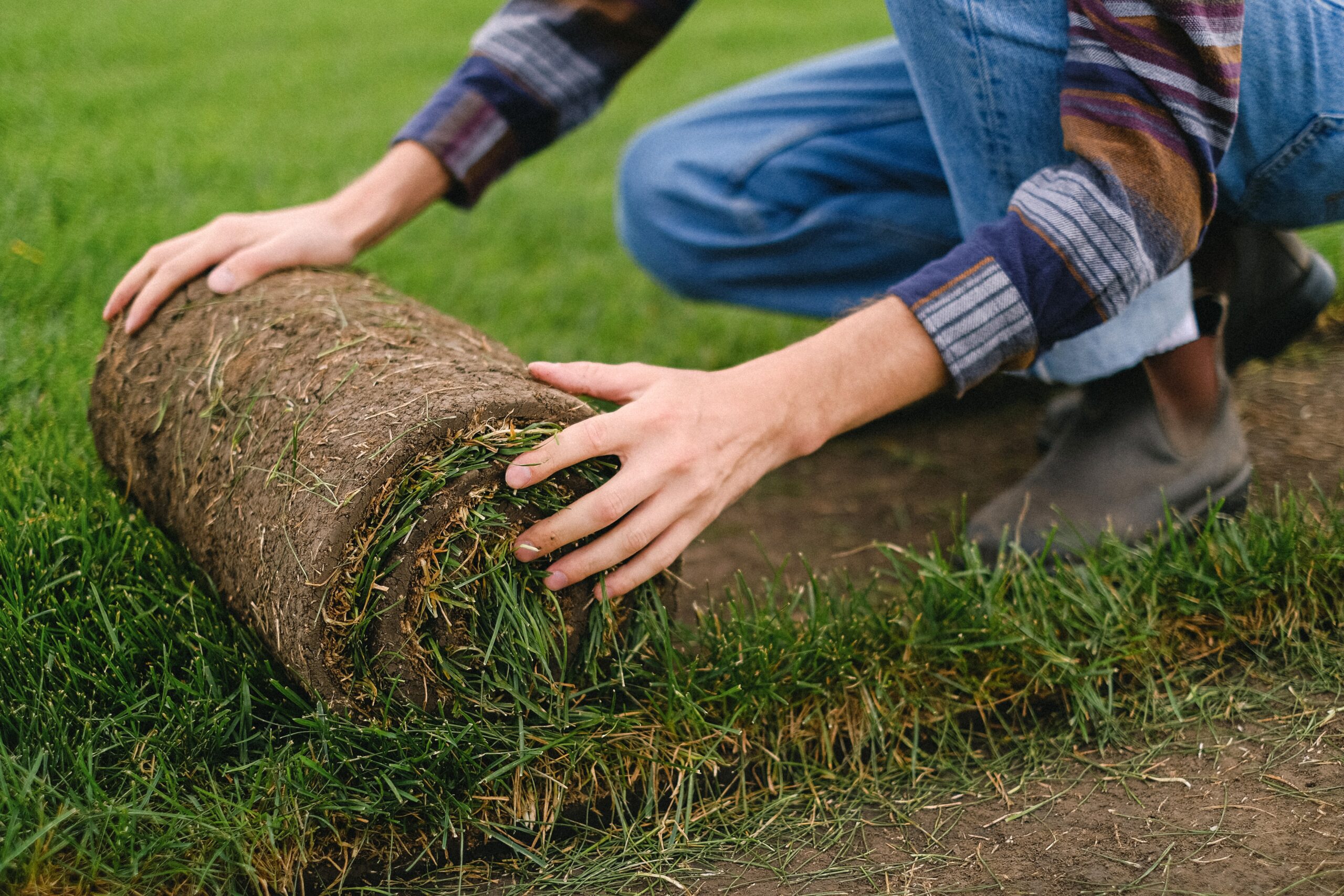 Sodding Installation – Give Your Lawn a Fresh Look