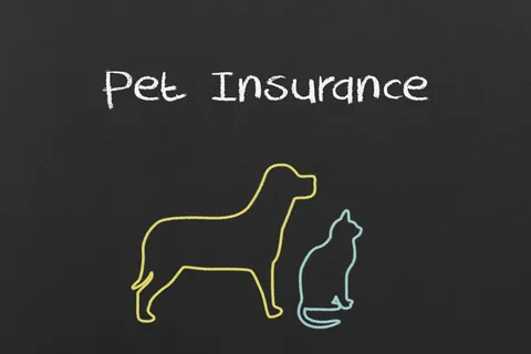 What You Should Know About Puppy Insurance