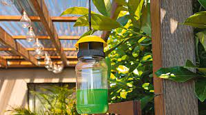 Buzz Be Gone: DIY Outdoor Fly Trap