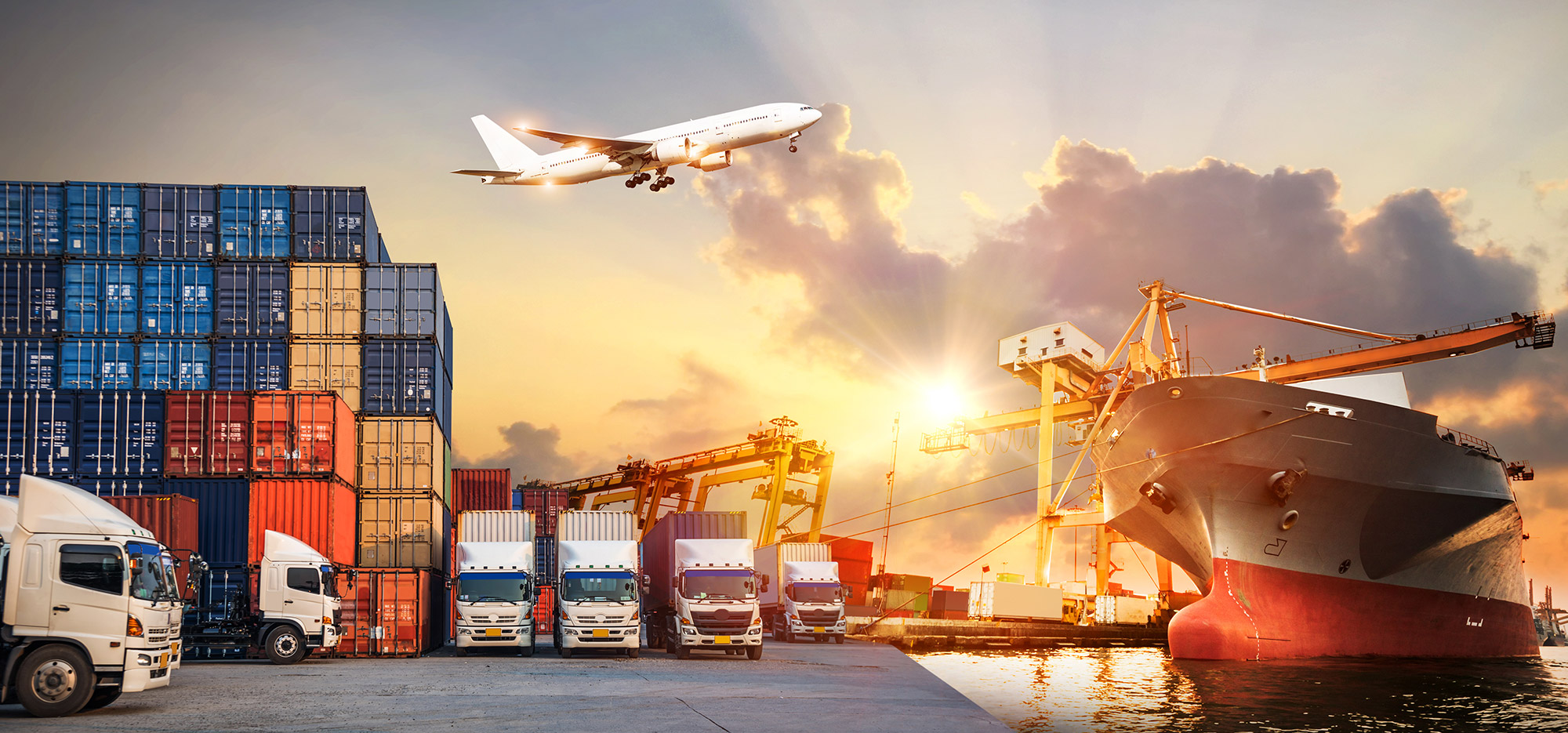 The Essential Guide to Shipping Services: Understanding Your Options